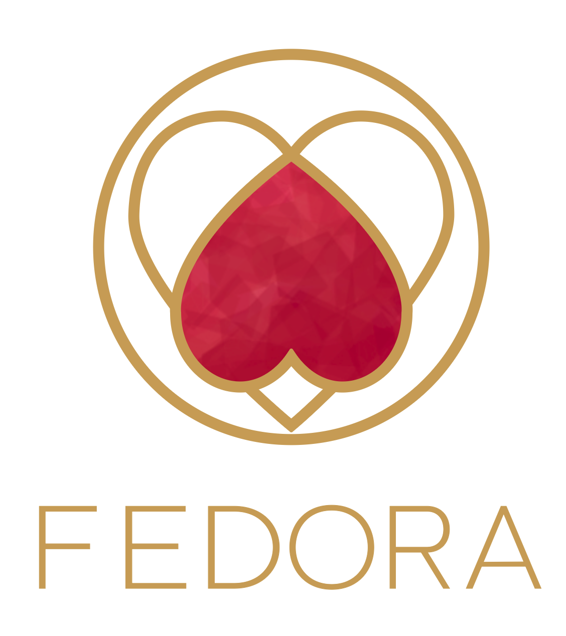 Logo aliado 53